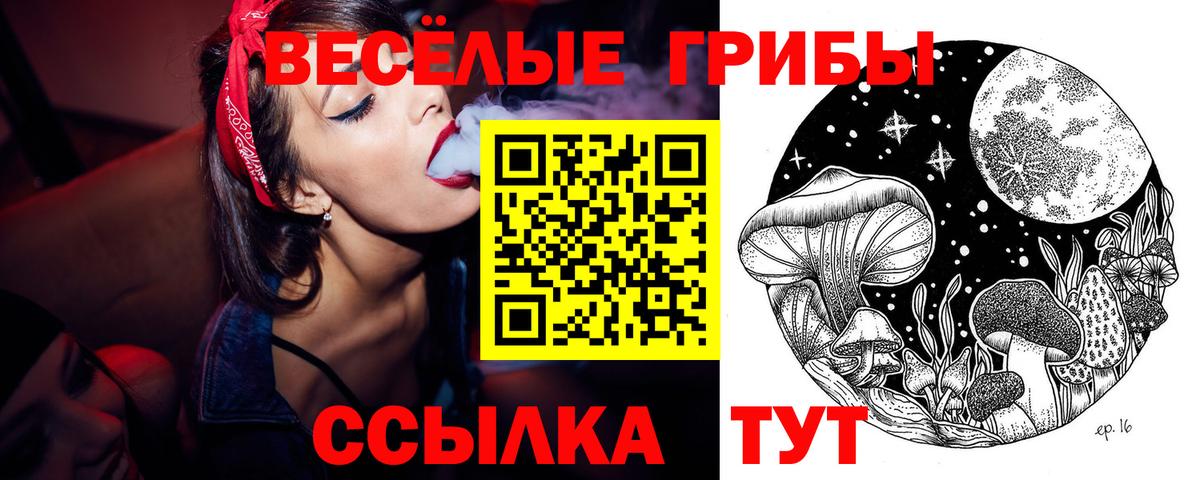 Псилоцибиновые грибы GOLDEN TEACHER Родники