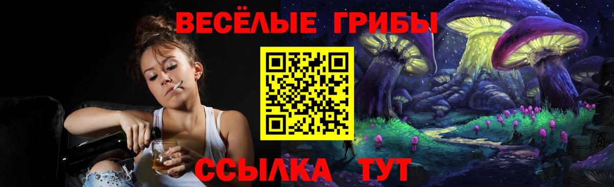 Родники  Галлюциногенные грибы Psilocybe  Псилоцибиновые грибы Psilocybine cubensis  Вход с VPN 